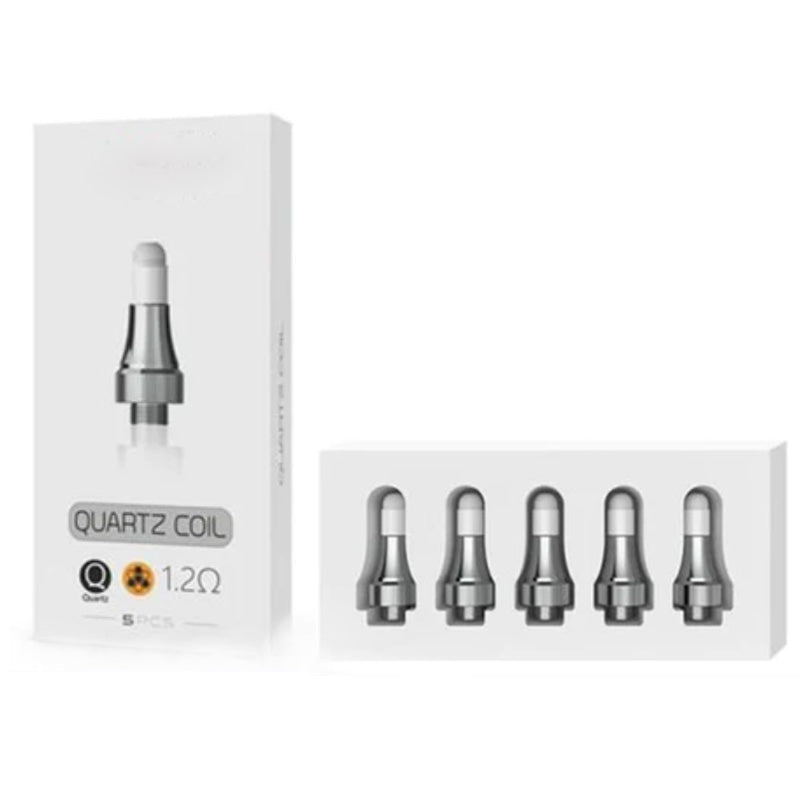 VOOZR Seahorse Pro Replacement Coils - Quartz (Pack of 5)